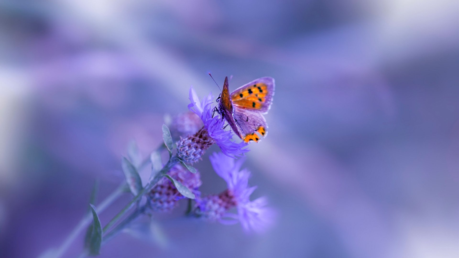 —当巴黎鏖战的烽烟中,一个名字以最出人意料的方式改写了与马德里竞技的宿命