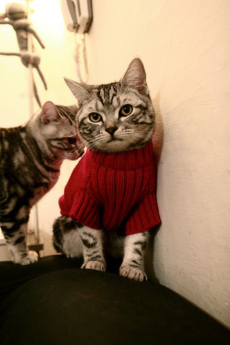 绝杀与传奇,中国队决胜日本队,波尔再书历史新篇