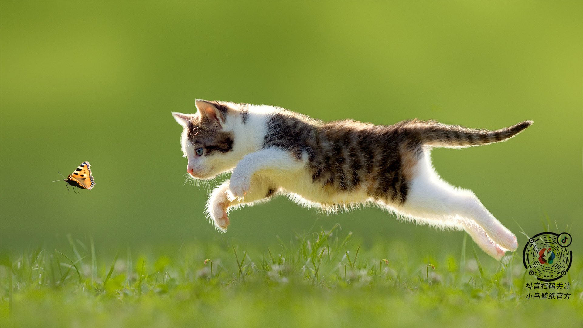 锁链与利刃，利拉德攻防一体锁死步行者，开拓者捍卫主场