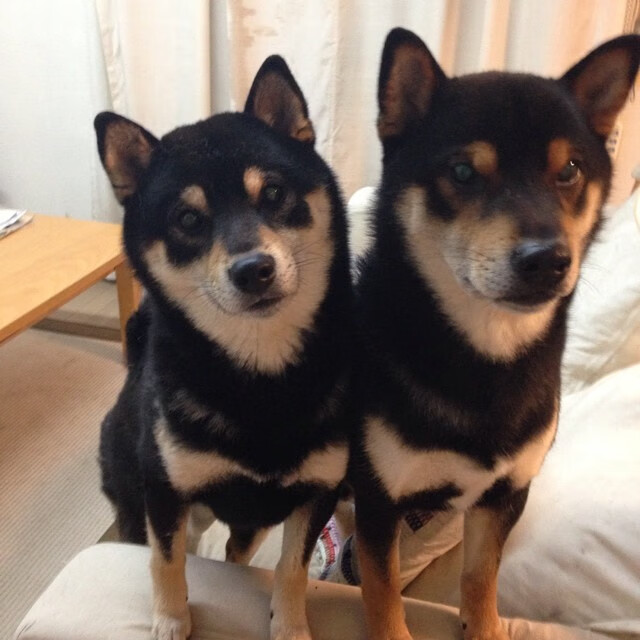 代码觉醒，当莱奥在虚拟战场一手掌控，委内瑞拉数据流斩落国际米兰