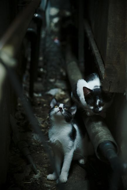 赛道与绿茵场，跨越时空的终极对决