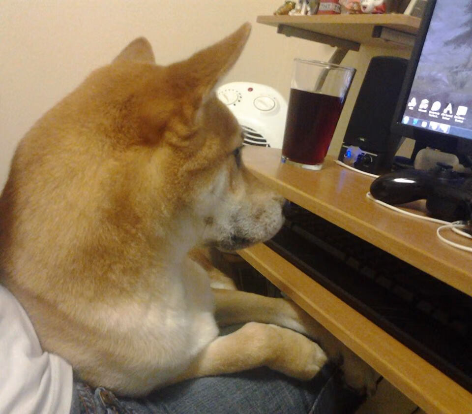 战术的枷锁与英雄的钥匙,从阿森纳到东决的竞技哲学