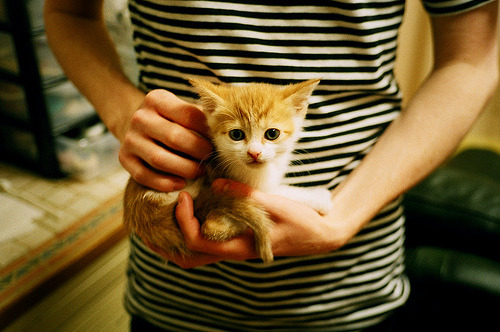 跨界巅峰，尼克斯鏖战广东队，字母哥美加墨世界杯篮球奇迹