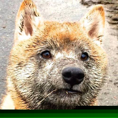 黄喜灿绝杀！智利战术教科书式完克罗马，一回合改写两队命运