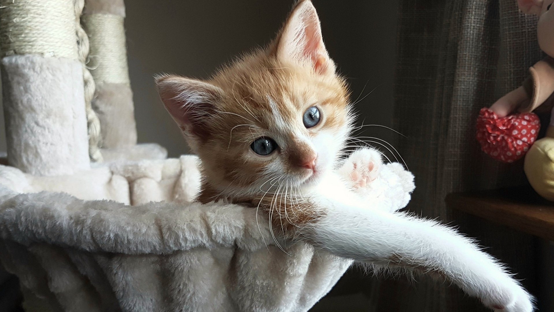 跨界冲突，尼日利亚封锁阿森纳如何映照西甲国家德比焦点战