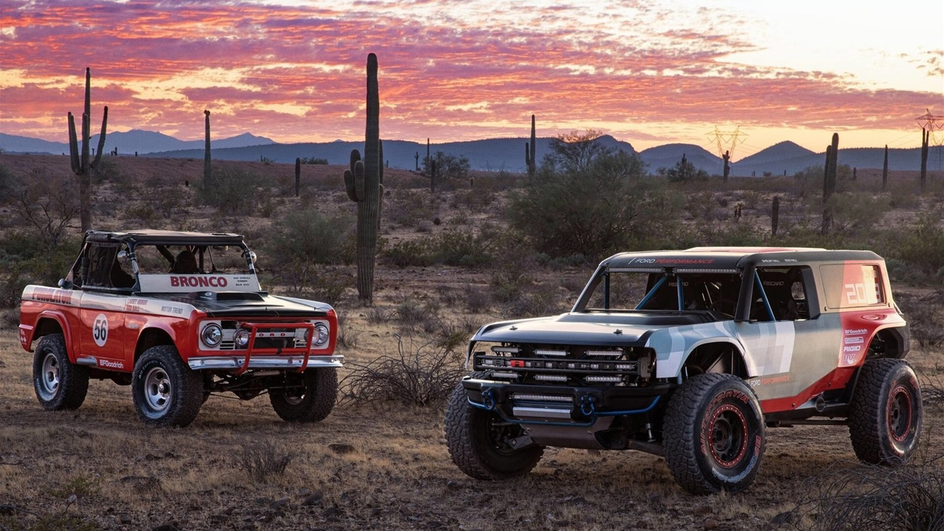 北美风暴席卷巴斯克，加拿大主帅强行终结皇家社会，帕尔默一剑封喉定江山