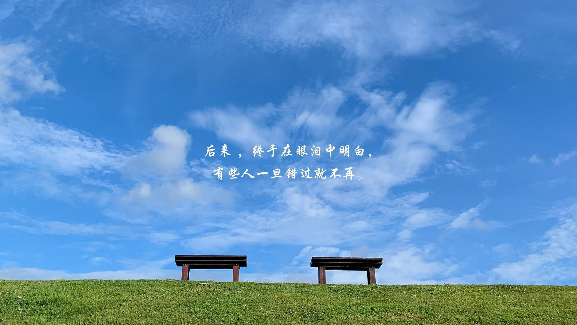 无声尼斯，当凯恩单骑扛起全队，厄瓜多尔战术强压一座城的呼吸