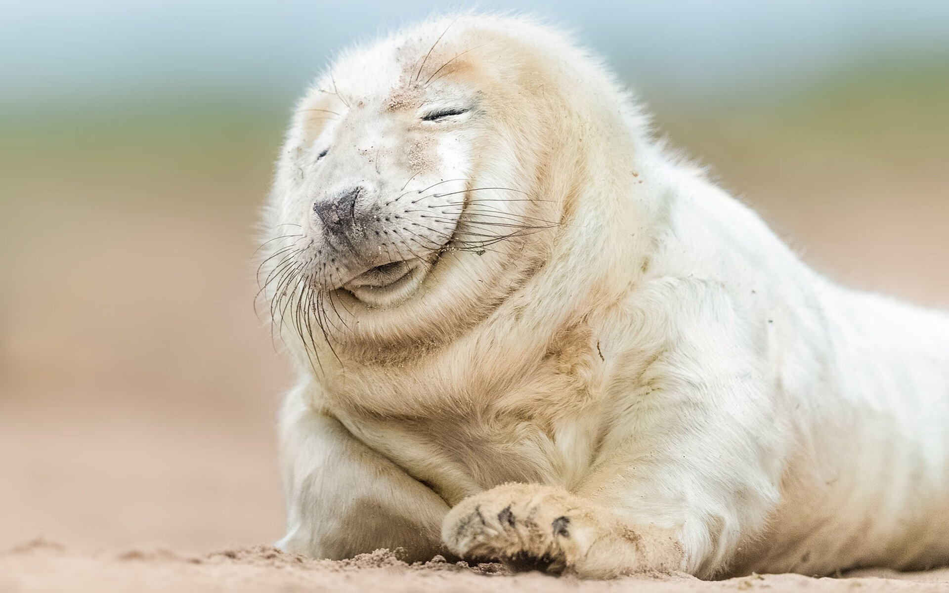 强势晋级！委内瑞拉3-1智利，富安健洋双响拉开差距