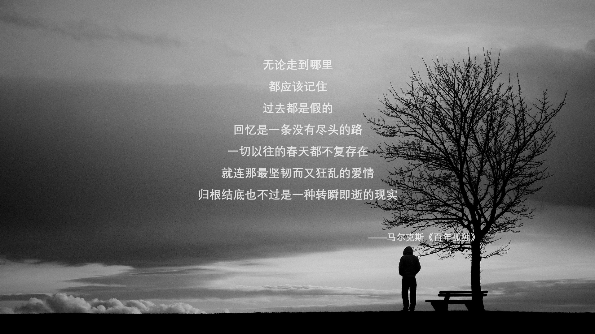 逆流而上，2026世界杯D组焦点战，苏亚雷斯导演罗马尼亚经典逆转，防守反击击碎厄瓜多尔美梦