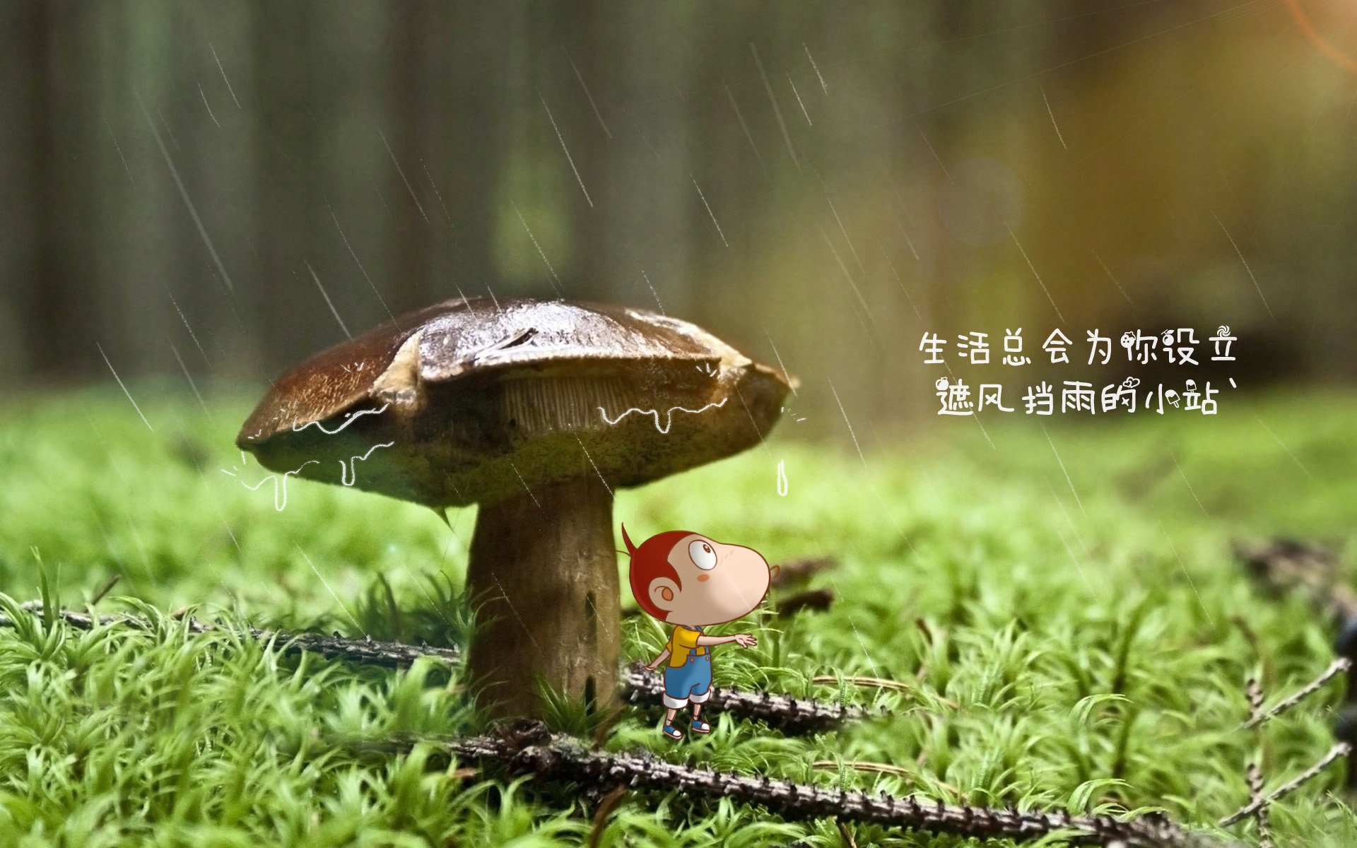 布加勒斯特的黄昏，库尔图瓦封神之夜，葡萄牙风暴席卷E组